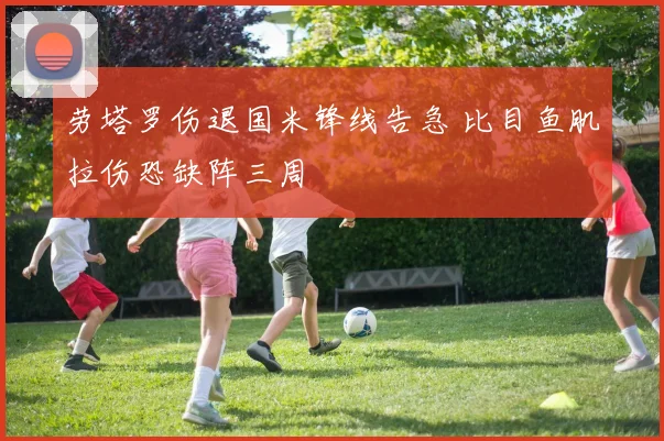 劳塔罗伤退国米锋线告急 比目鱼肌拉伤恐缺阵三周