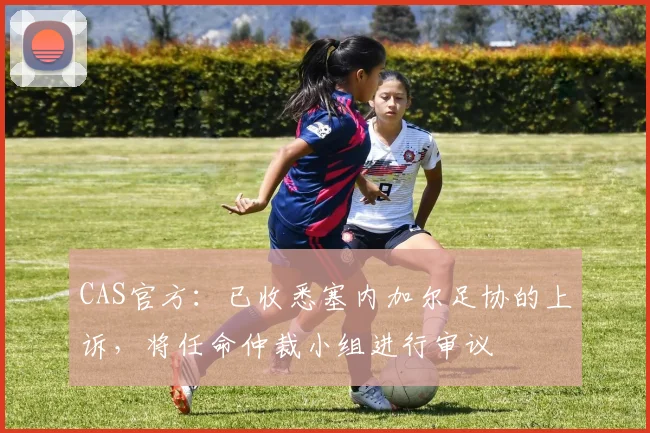 CAS官方：已收悉塞内加尔足协的上诉，将任命仲裁小组进行审议