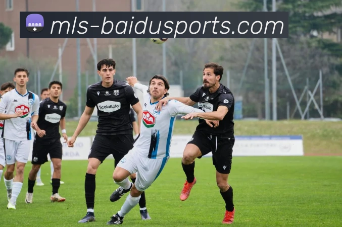 百度体育APP 高清赛事图